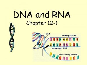 DNA and RNA Chapter 12 1 GENETIC MATERIAL