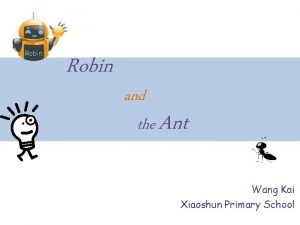 Robin and the Ant Wang Kai Xiaoshun Primary