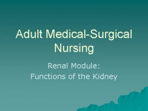 Adult MedicalSurgical Nursing Renal Module Functions of the