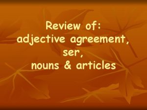 Review of adjective agreement ser nouns articles Adjective