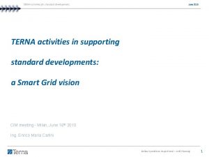 TERNA activities for standard developments June 2010 TERNA