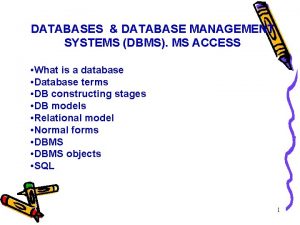 DATABASES DATABASE MANAGEMENT SYSTEMS DBMS MS ACCESS What