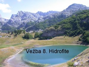 Veba 8 Hidrofite Pod vodenim biljkama podrazumevamo vie