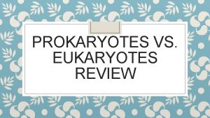 PROKARYOTES VS EUKARYOTES REVIEW Cells The cell is