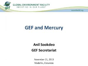 GEF and Mercury Anil Sookdeo GEF Secretariat November