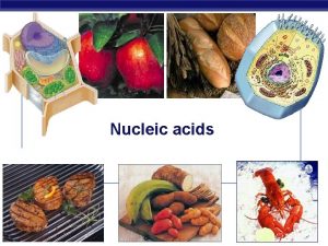 Nucleic acids AP Biology 2006 2007 Nucleic Acids