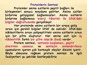 Proteinlerin Sentezi Proteinler amino asitlerin peptit balar ile