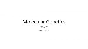 Molecular Genetics Week 7 2015 2016 928 DNA