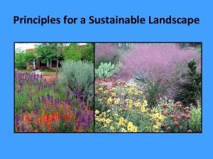 Principles for a Sustainable Landscape WaterEfficient Landscaping is