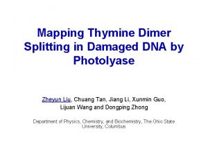 Mapping Thymine Dimer Splitting in Damaged DNA by
