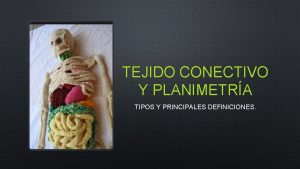 TEJIDO CONECTIVO Y PLANIMETRA TIPOS Y PRINCIPALES DEFINICIONES