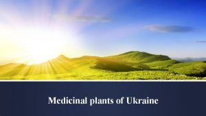 Medicinal plants of Ukraine Phytotherapy Using plants for