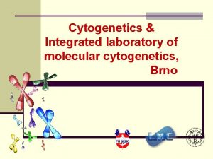 Cytogenetics Integrated laboratory of molecular cytogenetics Brno What