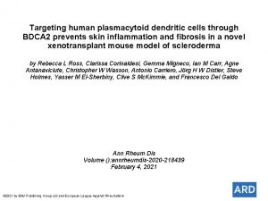 Targeting human plasmacytoid dendritic cells through BDCA 2