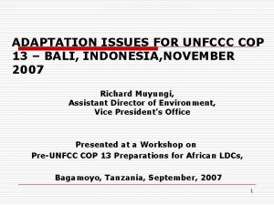 ADAPTATION ISSUES FOR UNFCCC COP 13 BALI INDONESIA