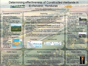 Determining effectiveness of Constructed Wetlands in El Porvenir