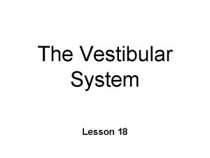 The Vestibular System Lesson 18 Orientation The Vestibular