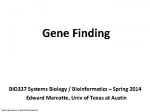 Gene Finding BIO 337 Systems Biology Bioinformatics Spring