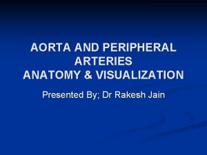 AORTA AND PERIPHERAL ARTERIES ANATOMY VISUALIZATION Presented By