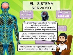 EL SISTEMA NERVIOSO Interi or del cuerpo rganos