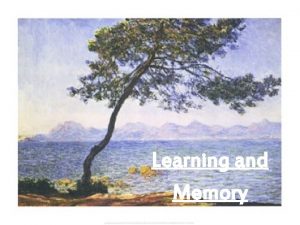 Learning and Memory BMW The Learning Process Learning