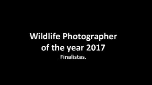 Wildlife Photographer of the year 2017 Finalistas Ya