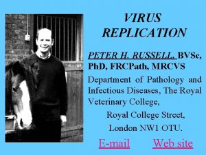 VIRUS REPLICATION PETER H RUSSELL BVSc Ph D