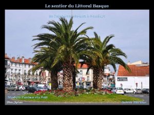 Le sentier du Littoral Basque de SaintJeandeLuz Hendaye