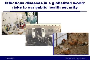 Infectious diseases in a globalized world risks to