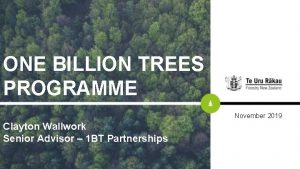 ONE BILLION TREES PROGRAMME November 2019 Clayton Wallwork