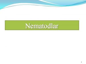 Nematodlar 1 ERK 1 2 3 4 5