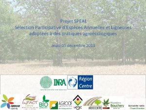 Projet SPEAL Slection Participative dEspces Annuelles et Ligneuses