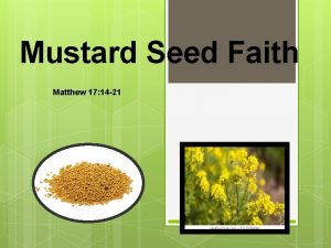 Mustard Seed Faith Matthew 17 14 21 Mustard