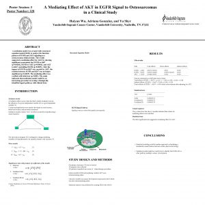 Poster Session 3 Poster Number 328 A Mediating