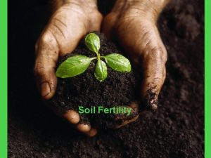 Soil Fertility Objective 1 Classify the nutrient requirements