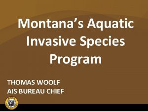 Montanas Aquatic Invasive Species Program THOMAS WOOLF AIS