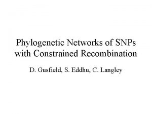 Phylogenetic Networks of SNPs with Constrained Recombination D