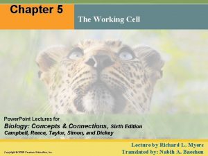 Chapter 5 The Working Cell Power Point Lectures