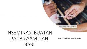 INSEMINASI BUATAN PADA AYAM DAN BABI Drh Yudit