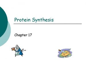 Protein Synthesis Chapter 17 Protein synthesis DNA Responsible