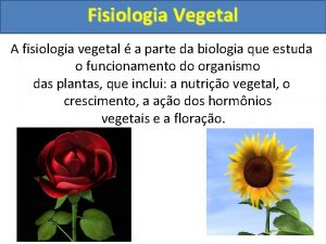 Fisiologia Vegetal A fisiologia vegetal a parte da