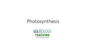 Photosynthesis Bell Ringer Where does most energy come