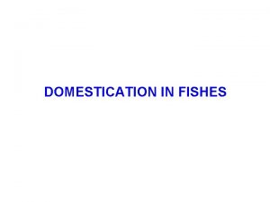 DOMESTICATION IN FISHES CluttonBrock 1999 Domestic animal One