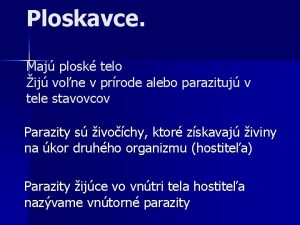 Ploskavce Maj plosk telo ij vone v prrode