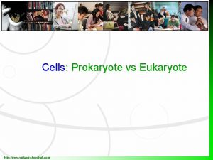 Cells Prokaryote vs Eukaryote http www virtualschoolhub com