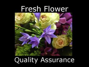 Fresh Flower Quality Assurance Our goal is to