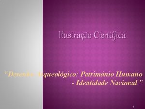 Ilustrao Cientfica Desenho Arqueolgico Patrimnio Humano Identidade Nacional