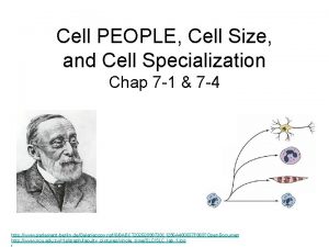 Cell PEOPLE Cell Size and Cell Specialization Chap