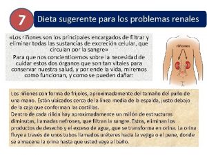 7 Dieta sugerente para los problemas renales Los