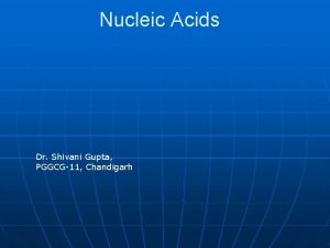 Nucleic Acids Dr Shivani Gupta PGGCG11 Chandigarh DNA